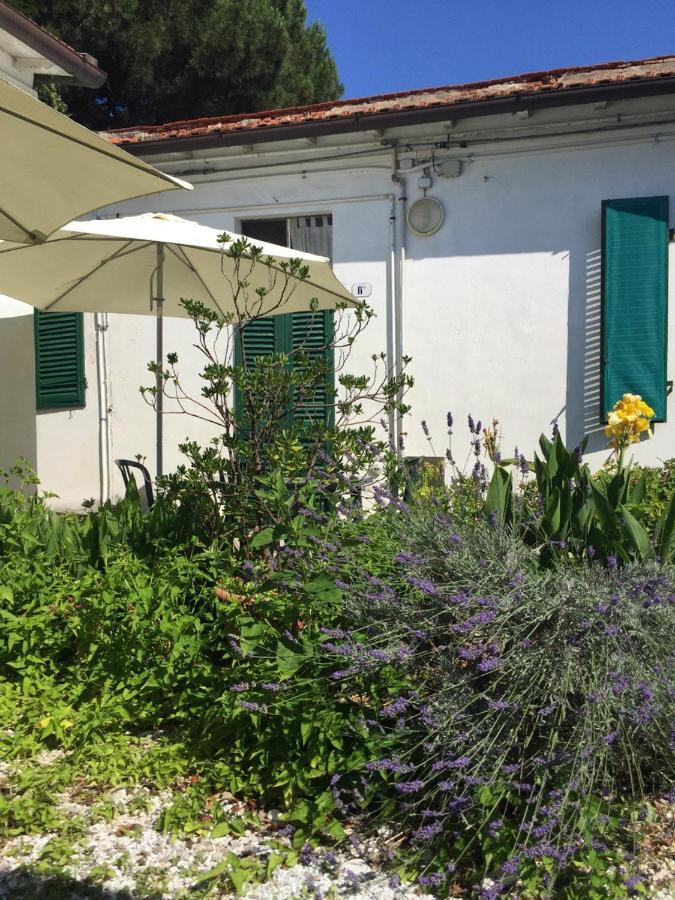 Appartamenti Gloria Marina Di Pisa Ngoại thất bức ảnh